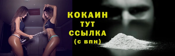 мдпв Верея