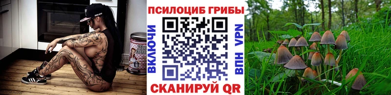 Галлюциногенные грибы GOLDEN TEACHER  OMG   Медногорск 